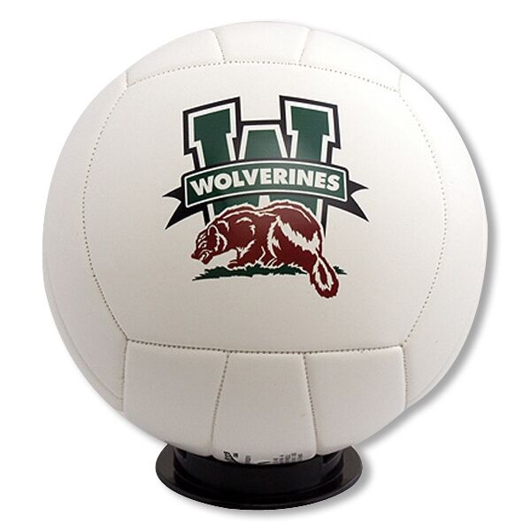 Main Product Image for Volleyball - Full Size - Full Color Print