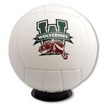 Buy Volleyball - Full Size - Full Color Print