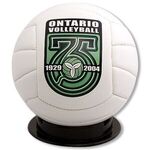 Buy Volleyball - Mini Size - Full Color Print