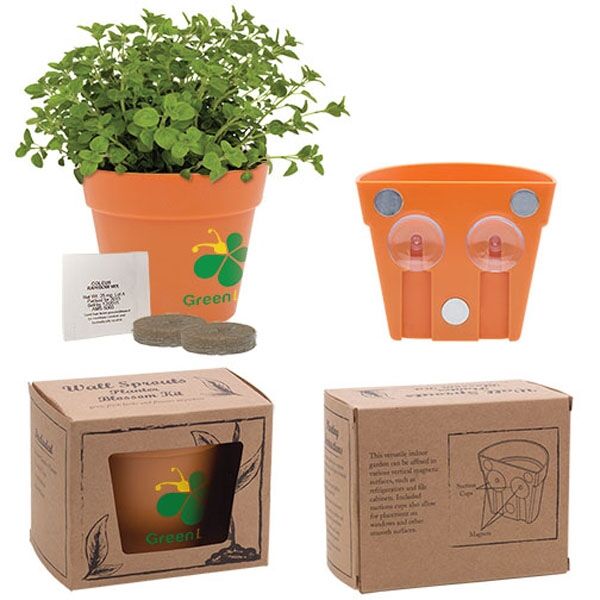 Main Product Image for Wall Sprouts Planter Blossom Kit