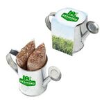 Watering Can Planter with Seeds - Silver