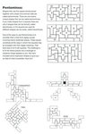 Wood Shapes Challenge Puzzle -  
