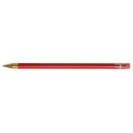 WOODEN STICK PEN