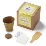 Yellow Garden of Hope Seed Planter Kit in Kraft Box - Brown