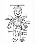 Your Hospital Cares About You Coloring and Activity Book -  