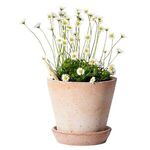 Alternate product view #7