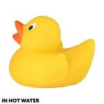 Alternate product view #7