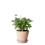 Alternate product view #14