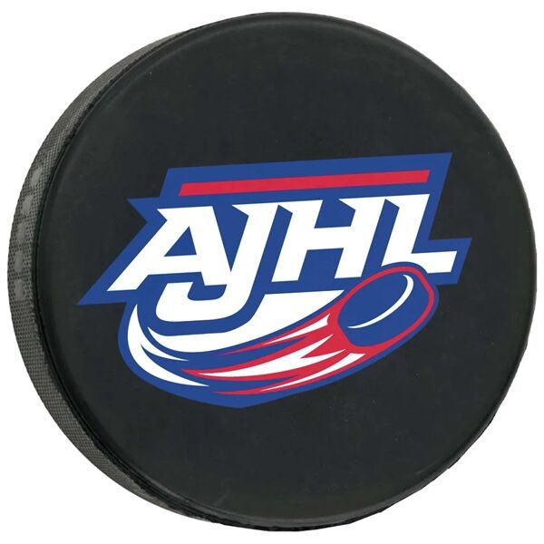 Main Product Image for Custom Printed Official Hockey Puck