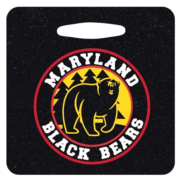 Main Product Image for Imprinted Small Stadium Cushion